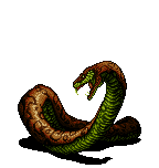 Constrictor