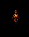 Skeletal Figure