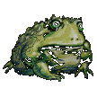 GIANT TOADS