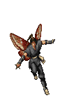 Faerie Ninja